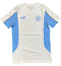 Puma Men Manchester City Ftbl Archive T-Shirt-White product image 1, provided for visual reference and product detail review