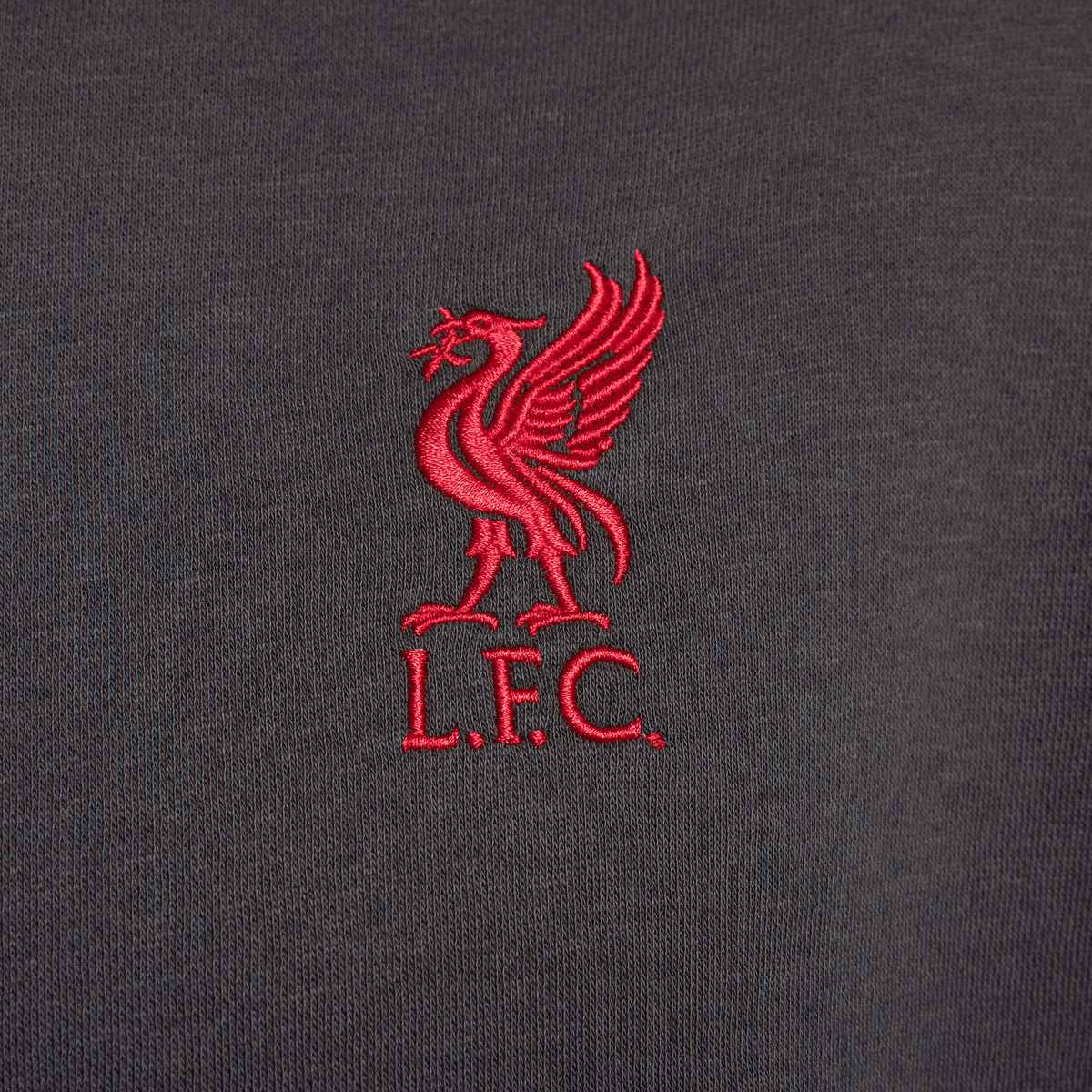 Liverpool FC Club Fleece Men Pullover Soccer Hoodie product image 2, provided for visual reference and product detail review