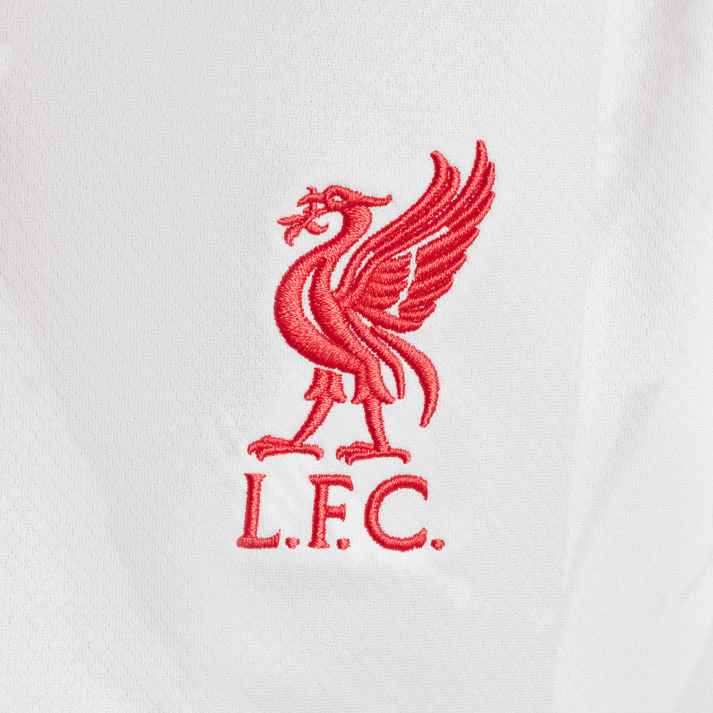 Nike Youth Liverpool FC 3rd Stadium Dri-FIT Soccer Jersey 24/25 product image 3, provided for visual reference and product