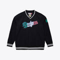 Los Angeles Dodgers Mitchell & Ness MLB Nylon Pullover product image 1