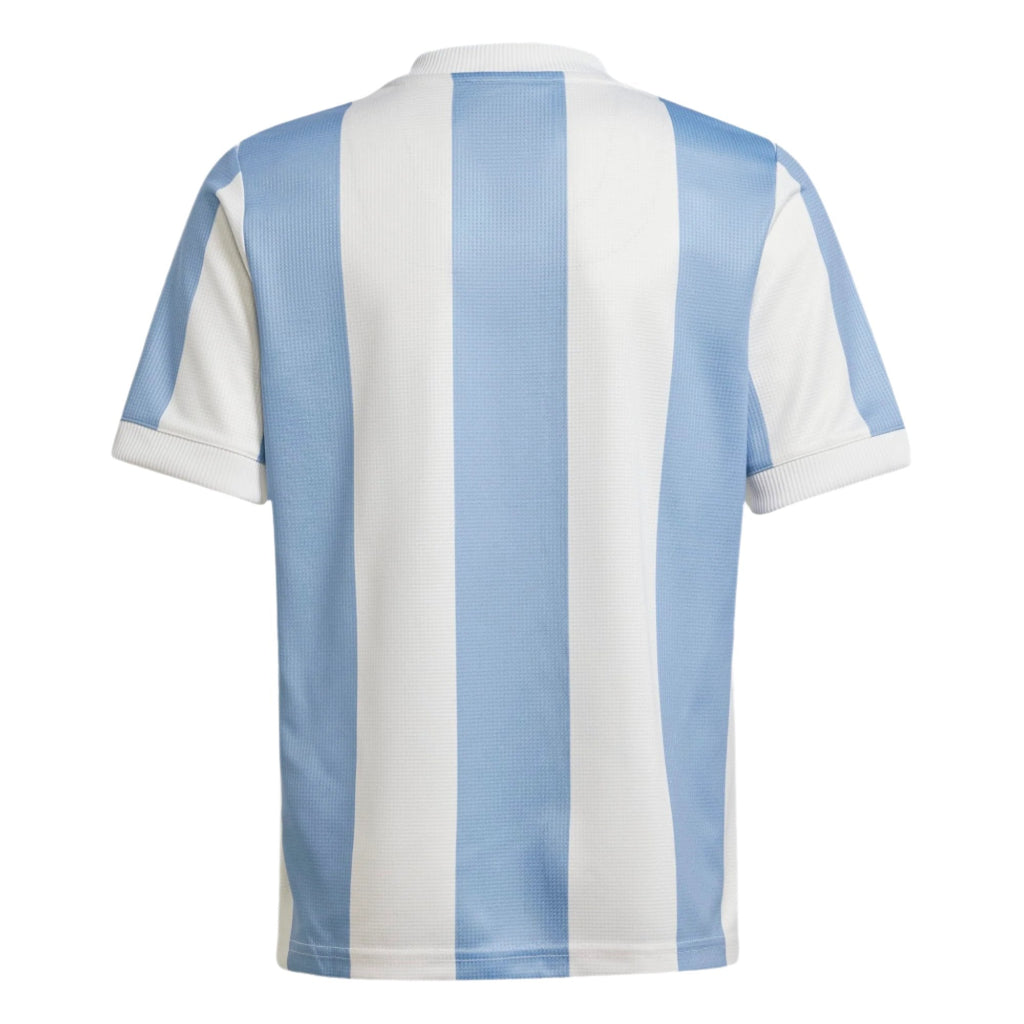 Adidas Youth Argentina Anniversary Jersey product image 2, provided for visual reference and product detail review