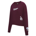 Womens Los Angeles Dodgers Pro Standard Wingspan Fleece product image 1