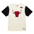 Chicago Bulls Mitchell & Ness NBA Color Blocked Tee product image 1