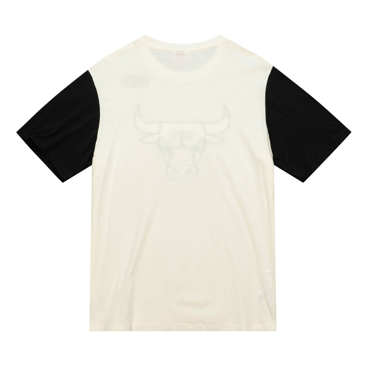 Chicago Bulls Mitchell & Ness NBA Color Blocked Tee product image 2