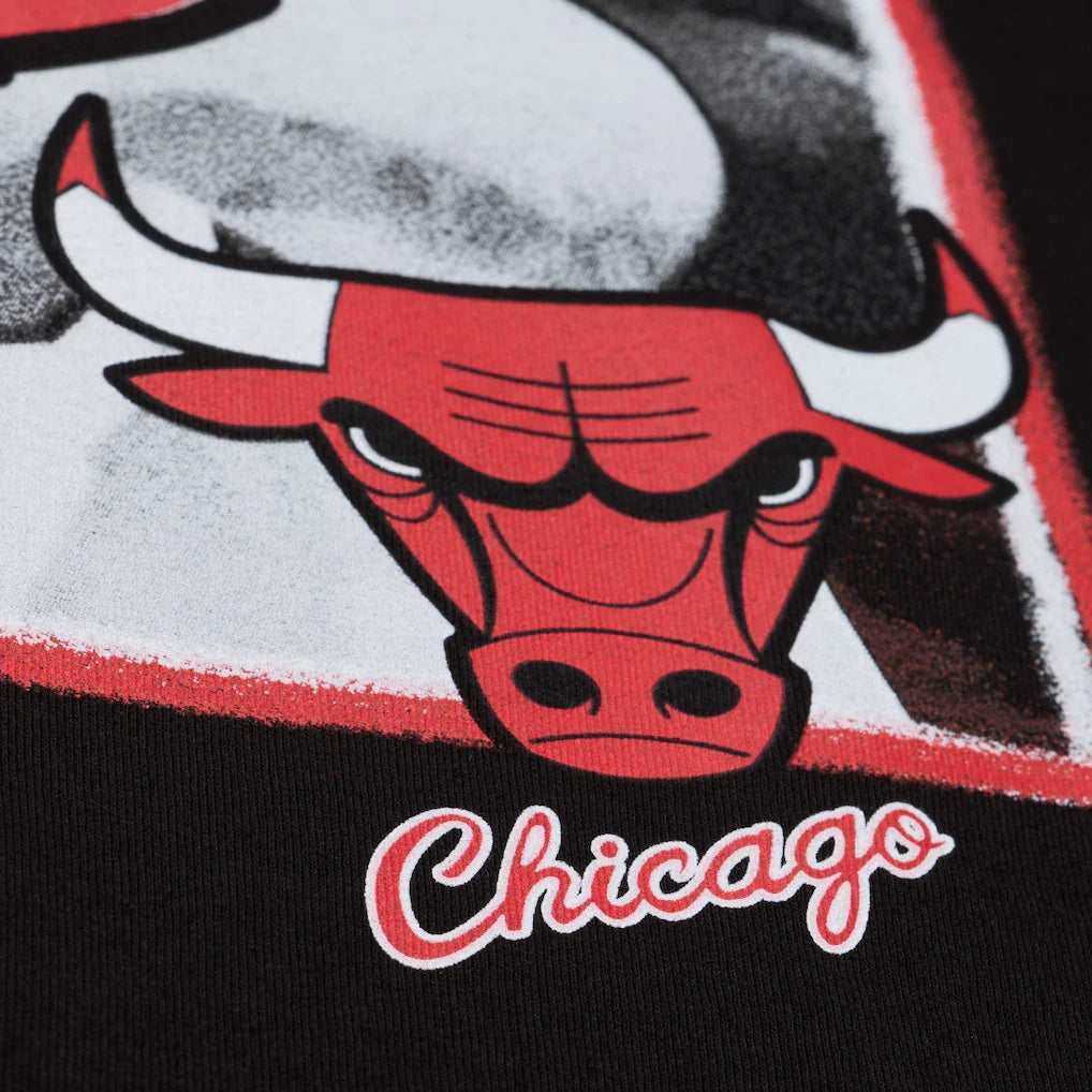 Chicago Bulls Mitchell & Ness Freeze Frame Classic Tee product image 4
