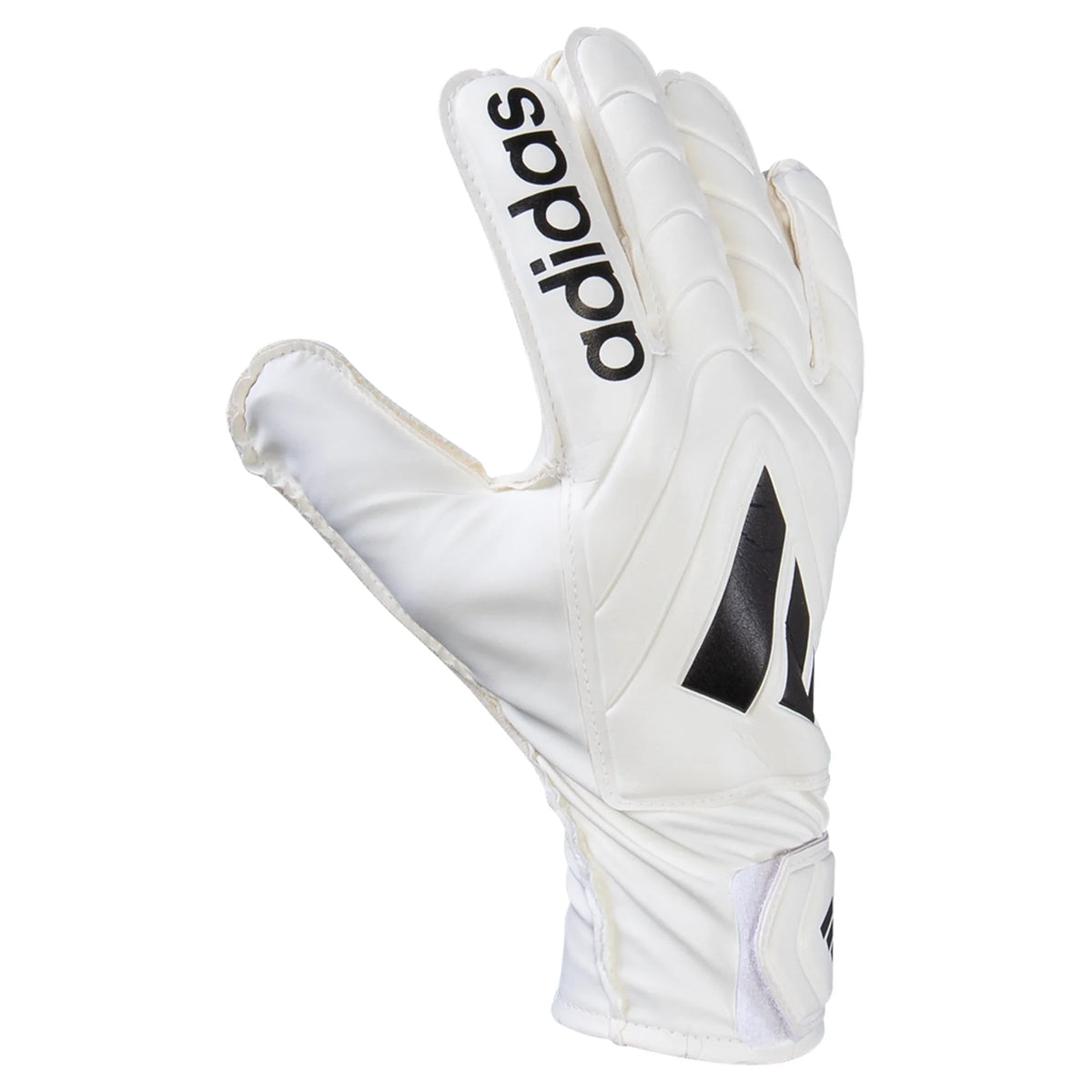 Adidas Copa GL Club GoalKepper Gloves product image 2, provided for visual reference and product detail review