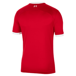 Nike Men Liverpool FC Stadium Home Dri-FIT Soccer Jersey 2023/24 product image 2, provided for visual reference and product