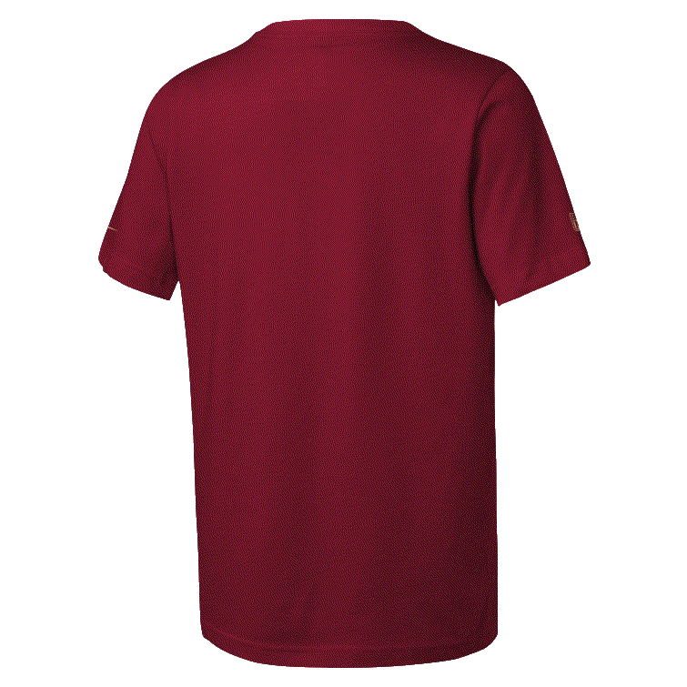 Youth San Francisco 49ers TM Issue T-Shirt - Red product image 3, provided for visual reference and product detail review