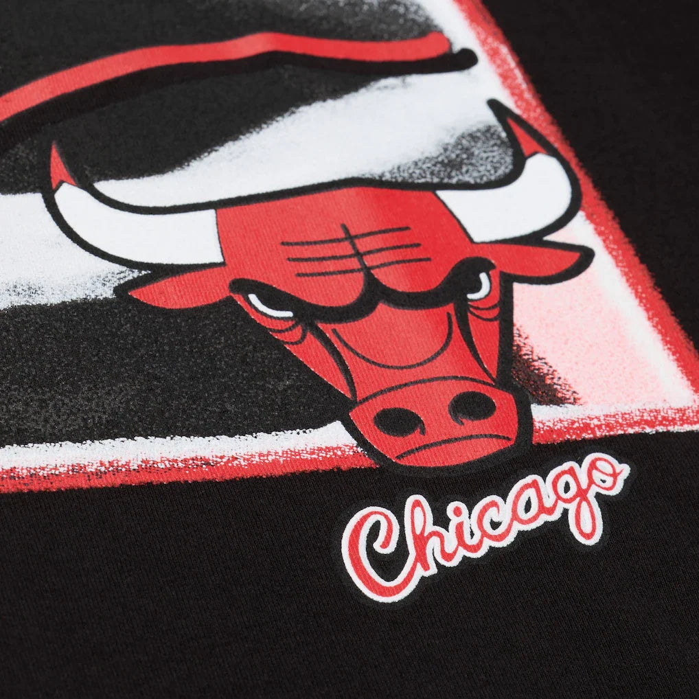 Chicago Bulls Mitchell & Ness Freeze Frame Classic Tee product image 4
