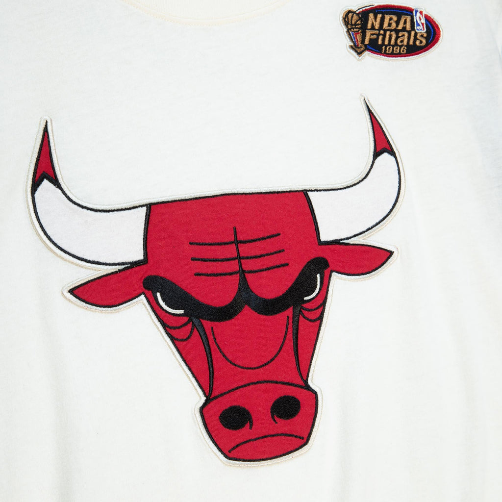 Chicago Bulls Mitchell & Ness NBA Color Blocked Tee product image 3