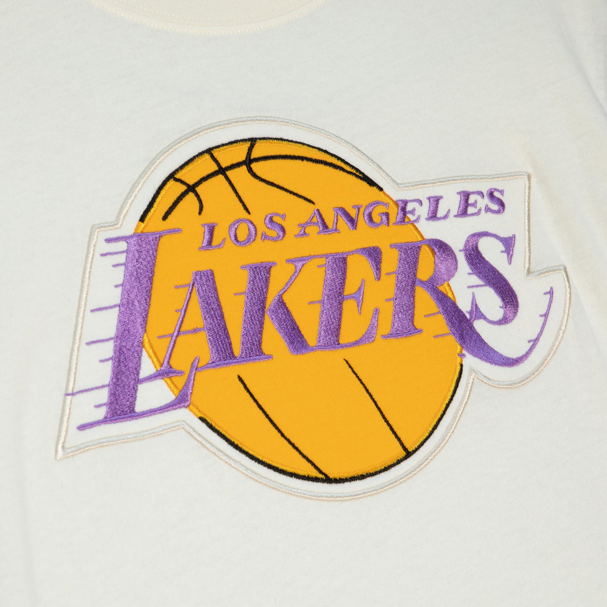 Los Angeles Lakers Mitchell & Ness NBA Color Blocked Tee product image 3