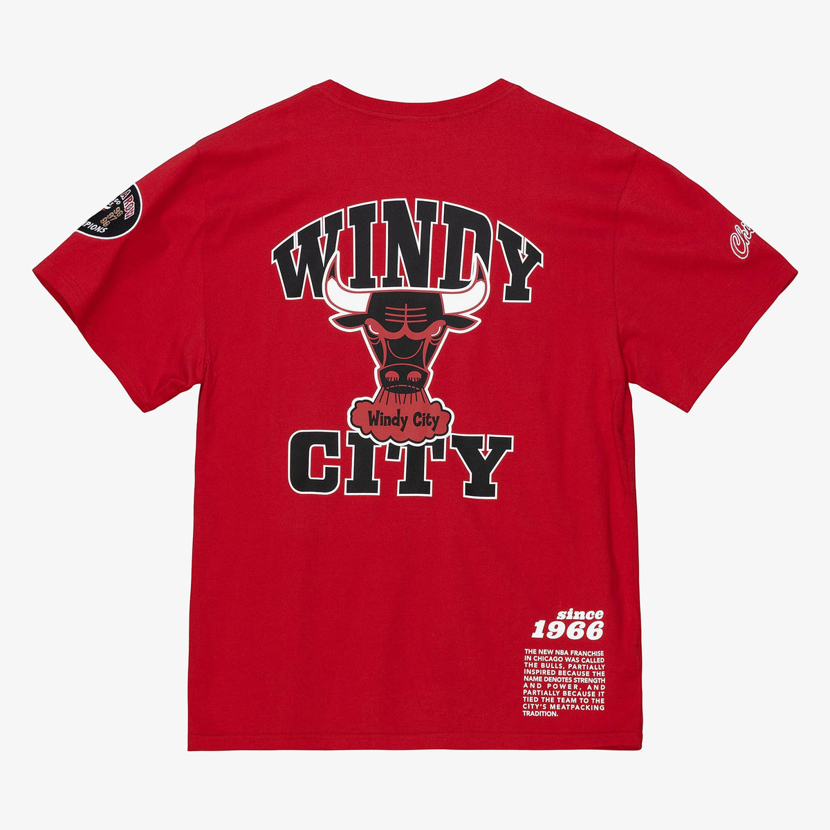 Chicago Bulls Mitchell & Ness NBA Team Origins Tee product image 2