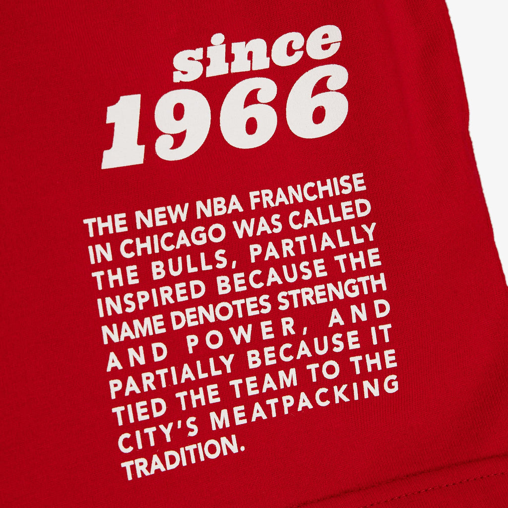 Chicago Bulls Mitchell & Ness NBA Team Origins Tee product image 3
