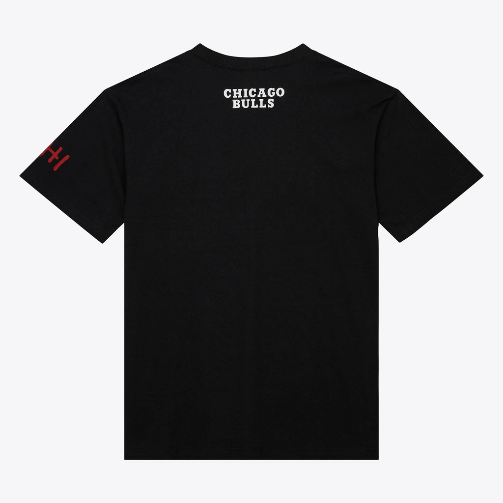 Chicago Bulls Mitchell & Ness NBA Heavyweight Premium product image 2